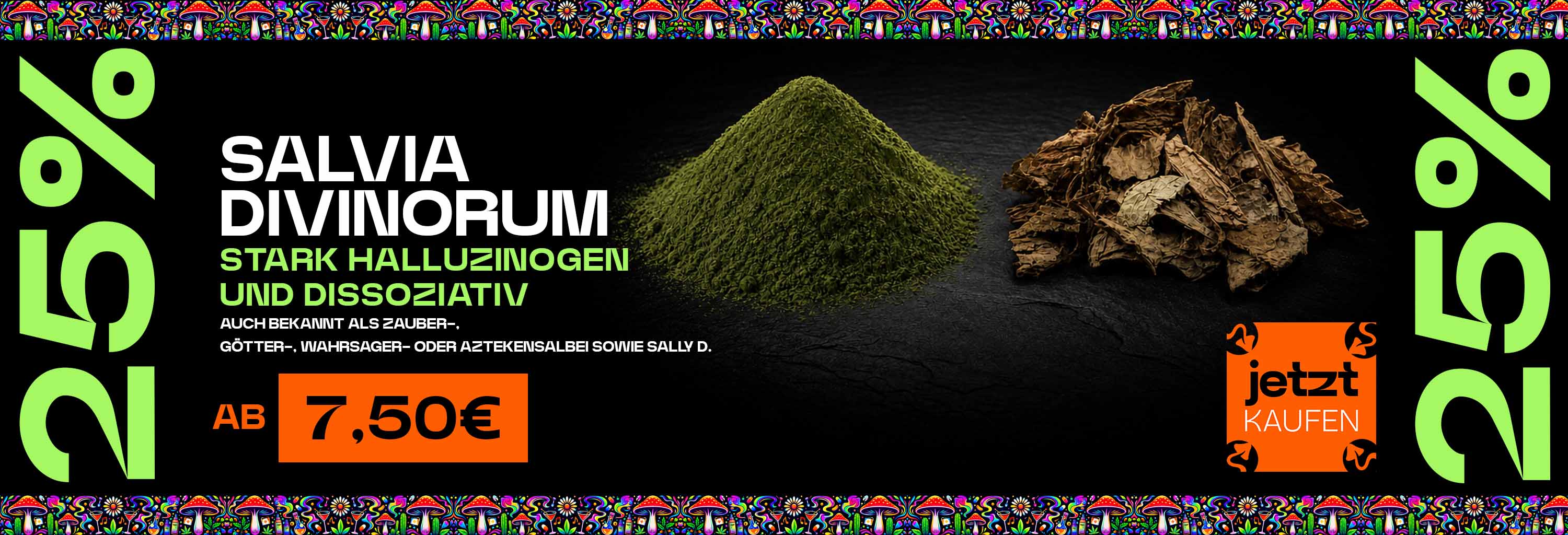 25% reduziert alle Sorten Salvia