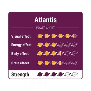 Atlantis (Psilocybe Atlantis)