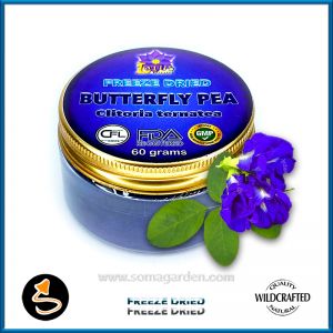 Butterfly Pea (Clitoria ternatea) Pulver