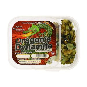 Dragon's Dynamite (Psilocybe Pajateros)