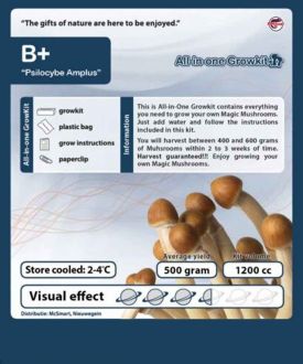 B+ Growbox