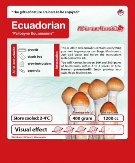 Ecuadorian Growbox