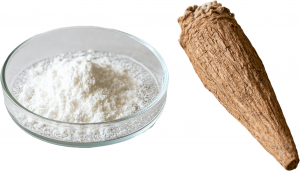 Ibogaine HCL 1g
