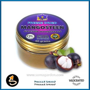 Mangosteen (Garcinia mangostana) Pulver