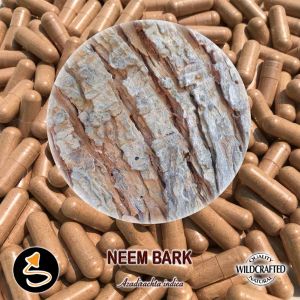 Neem - Niembaum 70 Kapseln