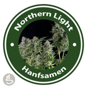 Northern Lights Autoflowering