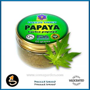 Papaya (Carica papaya) Pulver