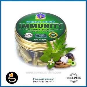 Immunity (Mix aus 5 Pflanzen) Kapseln
