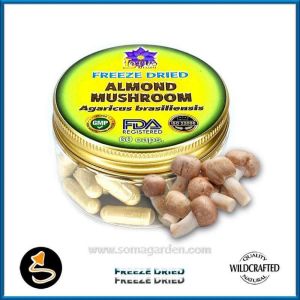Almond Mushroom (Agaricus subrufescens) Kapseln