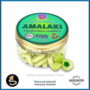 Amalaki (Phyllanthus emblica) 60 Kapseln