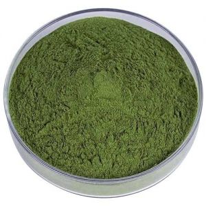 Salvia Divinorum (5x Extrakt) 1g