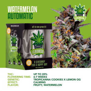 Watermelon USA Auto iGrowCan