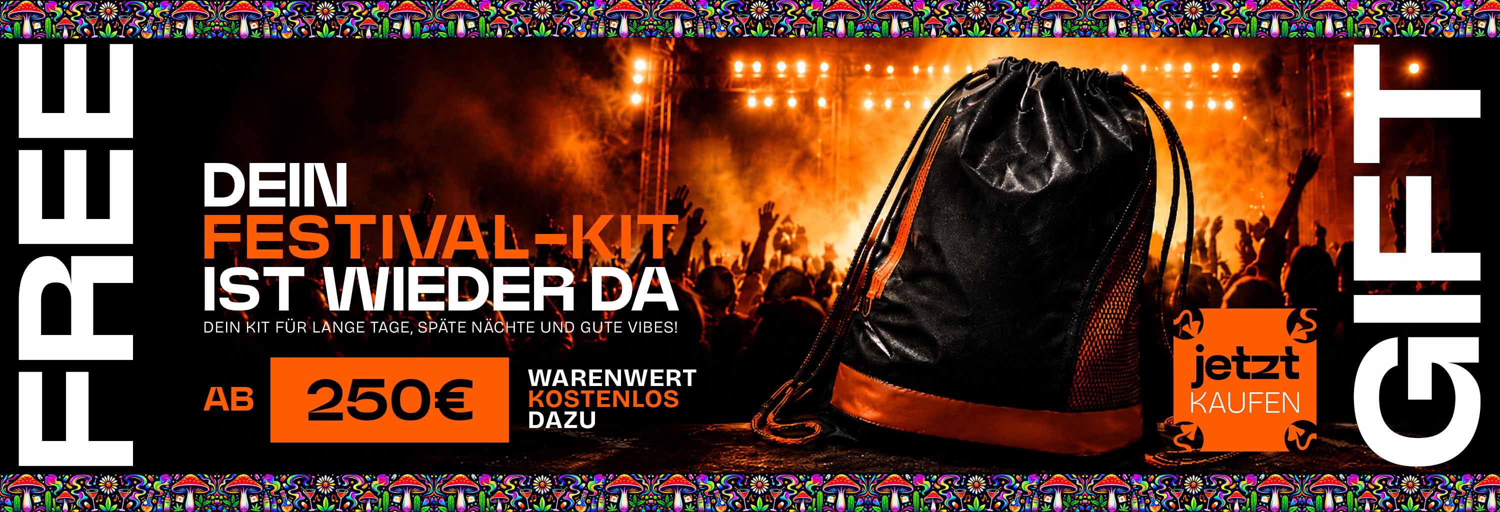 Ab 250 Euro - dein Festival Kit