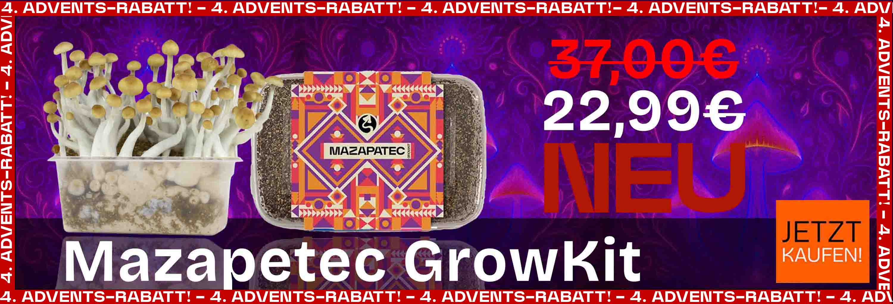 neue Growbox - Mazatapec stark reduziert