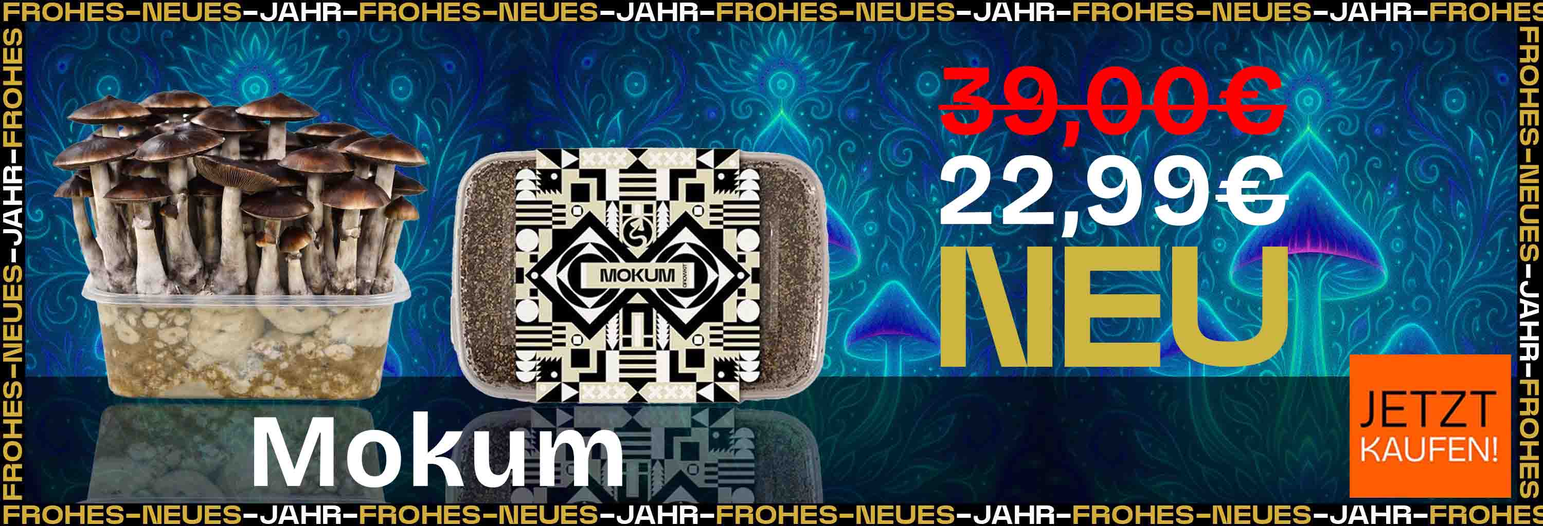 Neue Growbox - Mokum