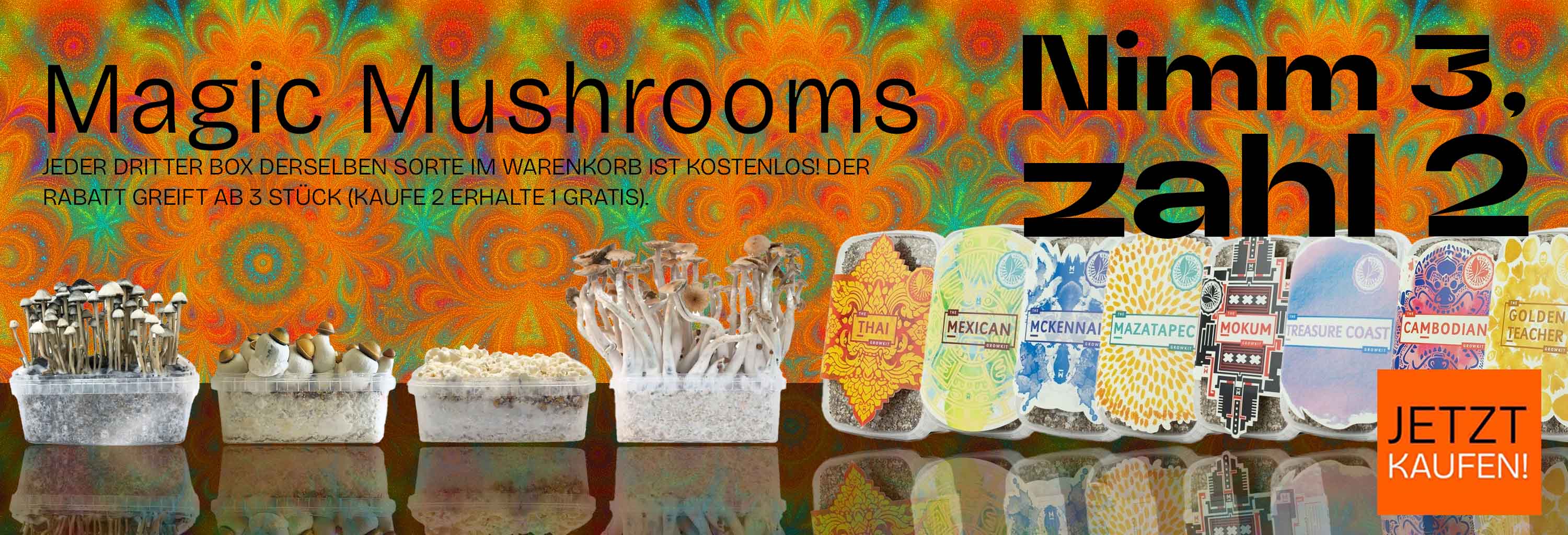 Nimm 3 und zahle nur 2