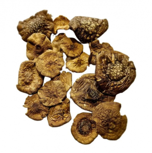 Pantherpilz (Amanita Pantherina) Pilzkappen 10g