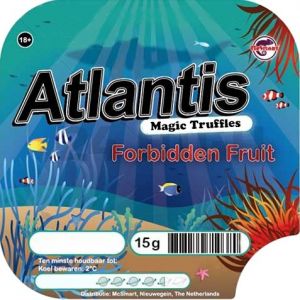 Atlantis (Psilocybe Atlantis)