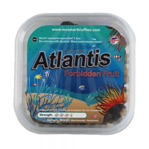 Atlantis (Psilocybe Atlantis)