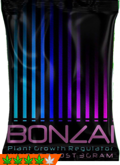 Bonzai Winterboost 3g Räuchermischung