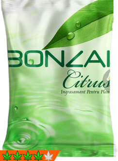 Bonzai Citrus 3g Räuchermischung