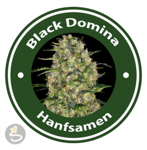 Black Domina