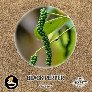 Black Pepper - Schwarzer Pfeffer Pulver 10g