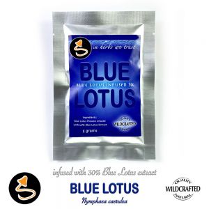 Blue Lotus flowers infused mit 30% Blue Lotus Extract