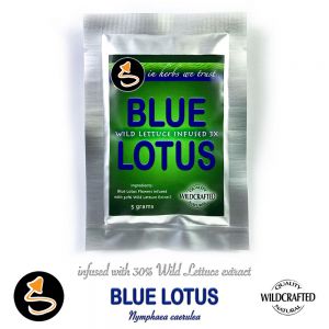 Blue Lotus flowers & Wild Lettuce mit 30% Blue Lotus Extrakt