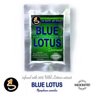 Blue Lotus flowers & Wild Lettuce mit 30% Blue Lotus Extrakt und Minze