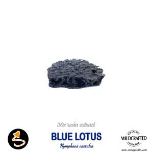 Blue Lotus Nymphaea Caerulea 30 Resin Extract