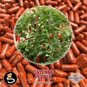 Cayenne Pepper - Cayennepfeffer 25 Kapseln
