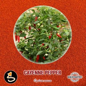 Cayenne Pepper - Cayennepfeffer Pulver 10g