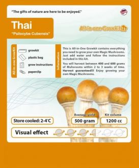 Thai Cubensis Growbox