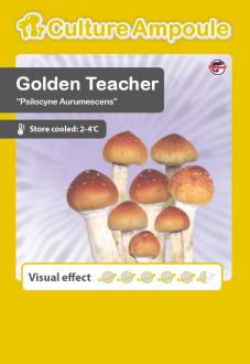 Golden Teacher Culture Ampoule