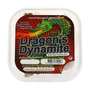 Dragon's Dynamite (Psilocybe Pajateros)