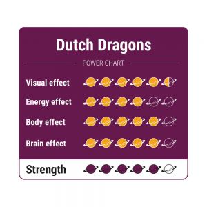Dutsch Dragon truffles