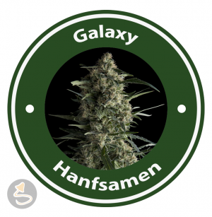 Galaxy Autoflowering