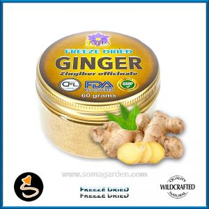 Ginger (Zingiber officinale) Pulver