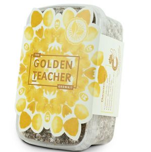 Golden Teacher Growkit