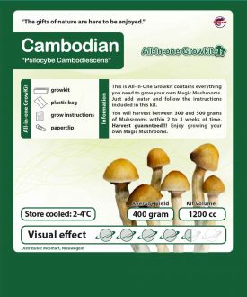 Cambodian Growbox