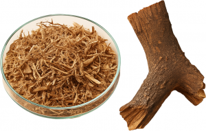 Tabernanthe Iboga Wurzelrinde