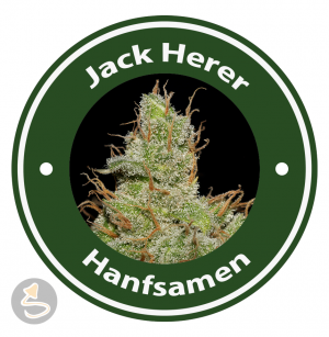 Jack Herer