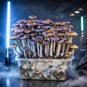 Jedi Mind Fuck Growbox