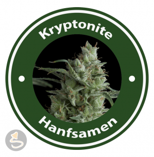 Kryptonite Autoflowering