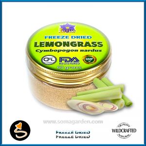 Lemongrass (Cymbopogon nardus) Pulver