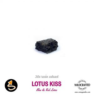 Lotus Kiss (Blue & Red Lotus Blend) 30x Resin Extract