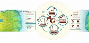 Psilocybe Cubensis Mexican Growbox