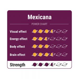 Mexicana Zaubertrüffel