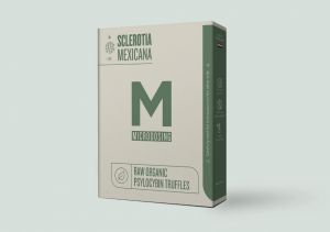 Microdosing Truffles Mexicana